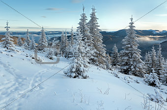 Morning winter mountain landscape 