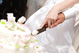 cutting a wedding cake