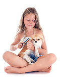 child and chihuahua