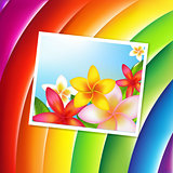 Fantastic Color Background With Flowers Card