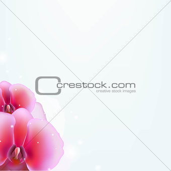 Floral Background With Orchid