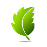 Green Leaf Symbol