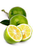 Green Lemons