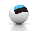 Estonian Volleyball Team