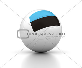 Estonian Volleyball Team