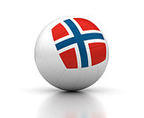 Norwegian Volleyball Team