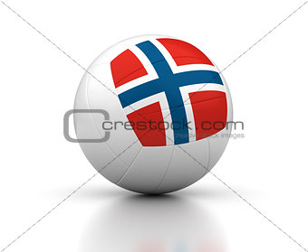 Norwegian Volleyball Team