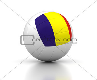 Romanian Volleyball Team