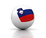 Slovenian Volleyball Team