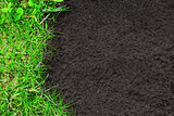 Nature background with green grass and soil