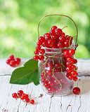 Redcurrant berries.
