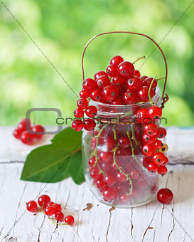 Redcurrant berries.