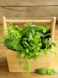 various herbs (basil, thyme, parsley, mint and dill) on wooden background