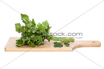 Fresh parsley bunch