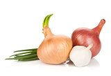 Fresh ripe onion and garlic