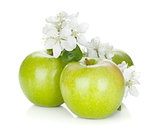 Ripe green apples and flowers