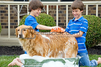 Boys Giving Dog a Bath