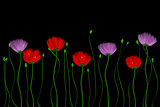 Red and pink flowers on a black background