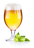 goblet with fresh beer and leaves hop