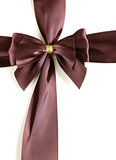 festive ribbon chocolate color (brown) for background