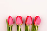 four pink tulips