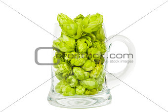 Glass full of hop