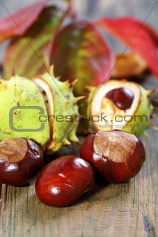 Chestnuts and autumn leaves.