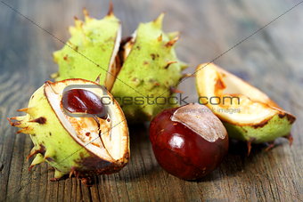 Ripe chestnuts.