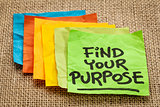 find your purpose 
