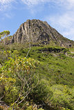Cradle Mountain NP, Australia