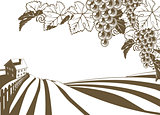 Vineyard Grapevine Farm Illustration