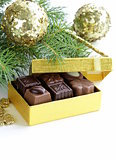 delicious gourmet chocolate candy  sweet present