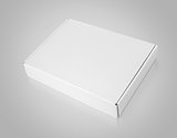 White blank carton box