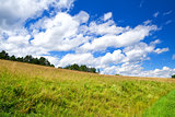 beautiful cloudscape on blue sky over green meadow