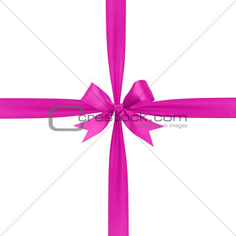 purple simple tied ribbon bow composition