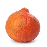 orange whole bumpy pumpkin