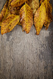 autumn leaves on wood surface