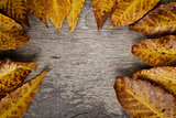 autumn leaves on wood surface