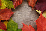 frame from autumn maple leaves on wood surface