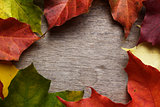frame from autumn maple leaves on wood surface
