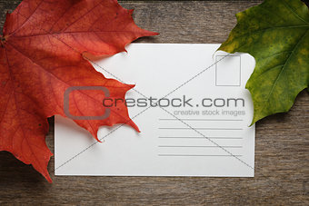 autumn maple leaves on wood surface with paper card