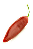red hot chili 