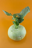 Cabbage kohlrabi 