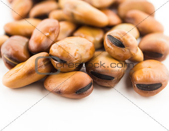 fava beans