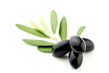 Black Olives 