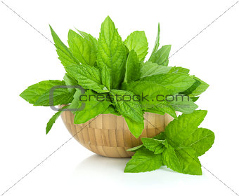 Wood bowl with fresh mint