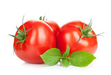 Three ripe tomatoes and basil