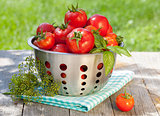 Fresh ripe tomatoes in colander