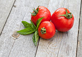 Fresh ripe tomatoes and basil