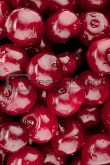 Fresh ripe cherries pattern